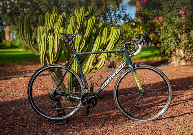 Roadbike Fuerteventura